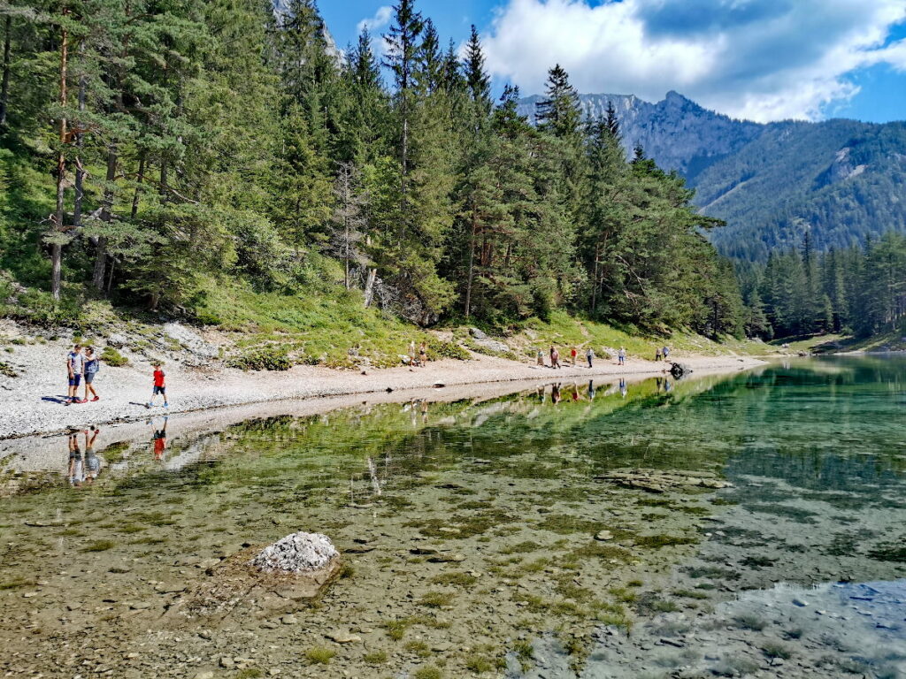 Grüner See wandern - sehr idyllisch am glasklaren Wasser mit dem imposanten Hochschwabgebirge