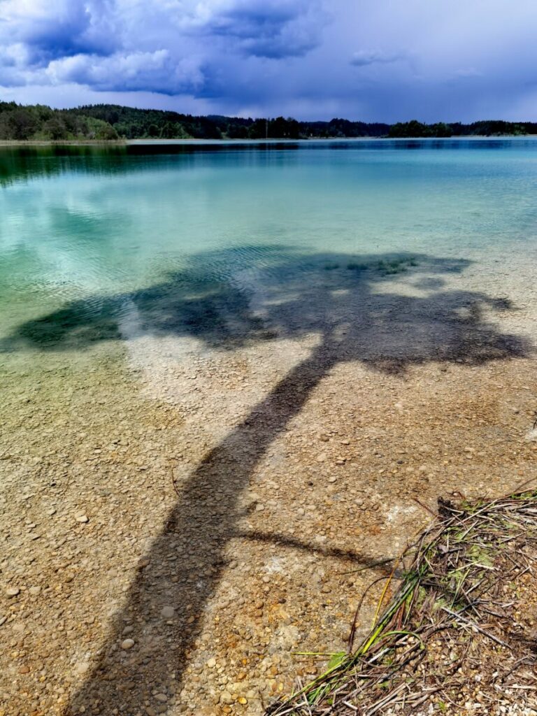 Naturwunder Osterseen - türkisgrün schimmert das Wasser am Großen Ostersee