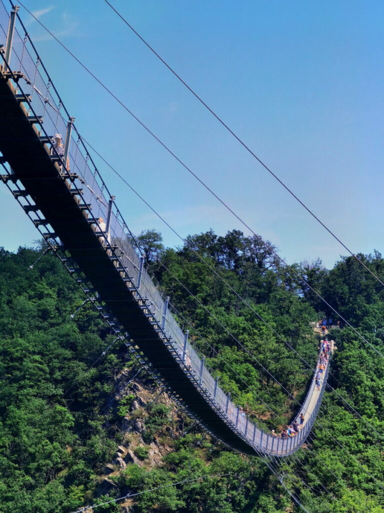 Naturwunder Geierlay Brücke im Hunsrück