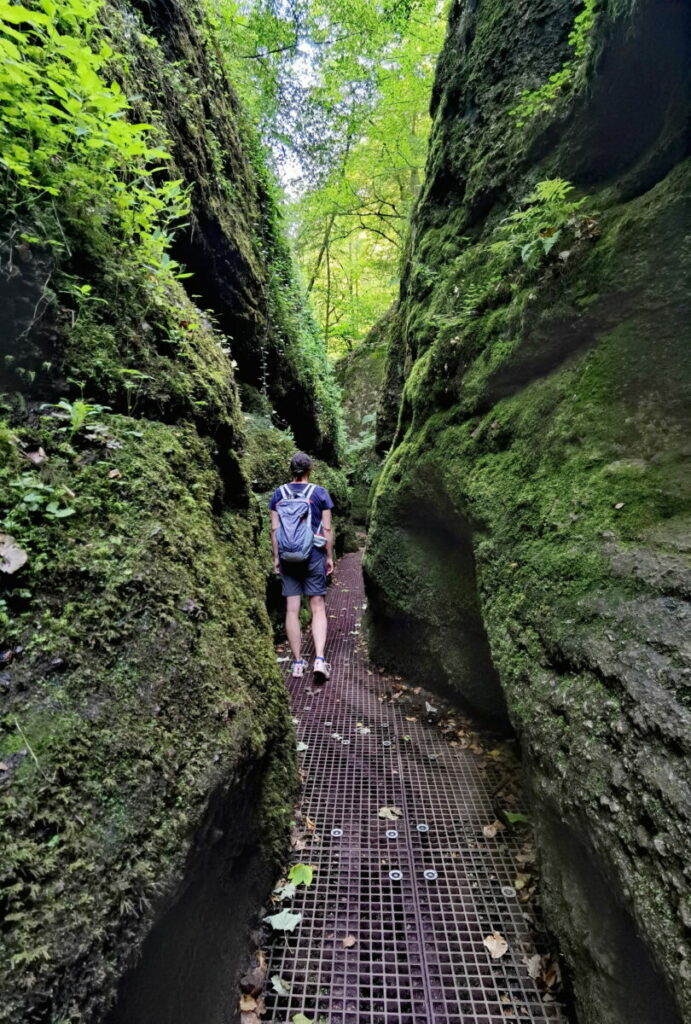 Naturwunder Drachenschlucht - die grüne Schlucht in Deutschland